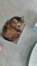 朗仕冻干双拼猫粮 鸡肉三文鱼配方 幼猫成猫 通用全价猫粮10kg/20斤 实拍图