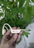 击音（iGene）【32G+超长续航】6.0蓝牙耳机运动跑步骑行防水MP3音乐免插卡不入耳骨传导无线耳挂 B1pro 实拍图