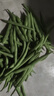 农家四季豆新鲜现摘云南长扁豆角农家应当季蔬菜芸豆现摘菜豆 新鲜四季豆1斤 实拍图