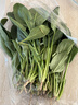大菠菜300g 实拍图