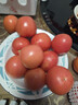 京鲜生 攀枝花沙瓤西红柿净重4.5斤礼盒单果150g起酸甜多汁源头直发包邮 实拍图