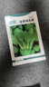 北蔬 鸡毛菜种子种苗速生小青菜阳台四季蔬菜种籽 全季鸡毛菜种子30g 实拍图