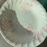 陶趣居日式盘子日本制造樱花餐具套装碗盘3D樱花雨面设计陶瓷套装间取樱 9.4英寸椭圆深盘 实拍图
