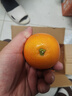 京觅秭归脐橙纽荷尔橙子净重5斤单果150g+新鲜水果源头直发包邮 实拍图