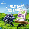 菊乐（JULE）酸乐奶含乳饮料250ml*16盒 葡萄味早餐奶送礼盒装 实拍图