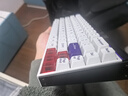 MelGeek蜜氪 made68pro+磁轴键盘小蜜蜂TTC万磁王轴RT0.01电竞游戏客制化机械无畏契约情侣 MADE68 PRO+紫光【紫心轴】 有线MelGeek 68键 实拍图