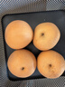 京鲜生山东烟台莱阳秋月梨净重4斤单果200g+ 新鲜水果 源头直发包邮 实拍图