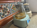 北鼎（Buydeem）养生壶全玻璃烧水壶自营多功能炖煮壶煮茶壶一体成型办公室家用恒温壶电热水壶1.2L FK571浅杉绿 实拍图