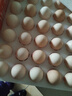 德青源可生食富硒叶黄素鲜鸡蛋30枚1.5kg 无抗生素  家庭礼盒装 实拍图