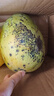 玖原农珍 四川攀枝花凯特芒果净果4.5-5斤优选芒果350g+ 当季新鲜水果 实拍图