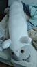 捉趣（ZHUOQU）猫咪抱枕公仔毛绒玩具女孩长条玩偶冰丝睡觉夹腿抱枕生日新年礼物 灰色【冰丝面料独立内胆】 全长约130cm 实拍图