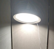 精忠报国植物补光灯大棚蔬菜花卉led室内绿植专用仿太阳全光谱园林生长灯 【仿太阳全光谱补光灯】暖-30W 配3米灯头线 实拍图