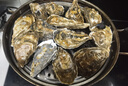 鲜京采 鲜活生蚝3XL 净重5斤 13-18只 鲜活到家 生鲜海鲜 源头直发 实拍图