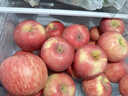 京鲜生山东烟台红富士苹果 5斤装单果75-80mm生鲜水果 源头直发 包邮 实拍图