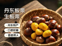 【东东农场专供】25年丹东新板栗生板栗炒菜专用新鲜蔬菜生鲜 25年新下树 6斤 送栗爪 实拍图
