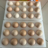 圣迪乐村 OMEGA-3鲜鸡蛋20枚礼盒装净重2斤 儿童宝宝鸡蛋牛奶早餐搭档  实拍图