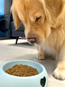 伯纳天纯中大型犬全价成年犬粮金毛宠物主粮羊肉蔓越莓15kg/30斤 实拍图