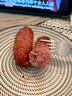 龙大美食黑猪鲜肉肠（黑胡椒味）净重600g/10根 猪肉鲜肉烤肠 无淀粉  实拍图