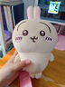 名创优品（MINISO）chiikawa小号站姿公仔玩偶毛绒玩具抱枕生日礼物女友 Usagi乌萨奇 实拍图