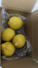 优味集进口新奇士柠檬【JD顺丰现货速发】新鲜南非黄柠檬生鲜水果整箱 1斤净重 商超级大果（单果120g+） 实拍图