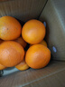 京觅 江西赣南脐橙4.5斤净重橙子单果150g起甜橙新鲜现摘水果源头直发 实拍图