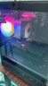 微星（MSI） i5 12400F/13400F/RTX3060/4060/5060Ti黑神话悟空游戏主机电脑台式机组装电脑主机DIY整机 配置五i5 12400F丨RTX3060Ti 8G 实拍图