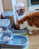 华元宠具超大容量宠物自动喂食器狗狗饮水机狗盆猫碗喂水猫咪投食器套装 实拍图