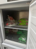 星星四门冰箱商用大容量双温冷藏冷冻厨房冰箱饭店后厨食堂保鲜柜不锈钢冰柜商用冰箱KCD-1271GT4 实拍图