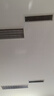 达力摇柠檬蜂蜜水饮料新鲜柠檬小青柑百香果姜汁便携蜂蜜盖网红装置 柠檬百香果小青柑混合装10支【散装不含桶】 实拍图