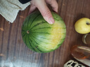 京鲜生 特小凤黄肉西瓜 1粒 净重2-3斤 生鲜水果 实拍图