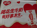 银鹭 【年货送礼】花生牛奶植物蛋白饮料250ml*16盒 整箱礼盒早餐奶 实拍图
