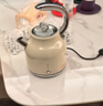 德世朗（DESLON）恒温电热水壶烧水壶大容量家用复古电水壶煮茶开水壶 1.7L 【55°C恒温保温款】四代复古白 实拍图