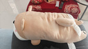 名创优品（MINISO）趴姿系大号趣味狗狗公仔玩偶玩具抱枕靠枕娃娃生日礼物女 卡其色 实拍图