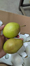 源自新疆红香酥梨新鲜梨子3/5/10斤脆甜皮薄梨子应季水果整箱批发 净重9斤实惠中果 实拍图