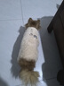 智宙泰迪衣服狗狗衣服宠物小型犬狗狗衣服秋冬季保暖比熊博美幼犬加厚 浅棕色L码（建议6-8.5斤） 升级优质珊瑚绒-【加绒加厚】 实拍图