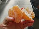 京地达四川爱媛38号果冻橙水果净重10斤单果280-350g起新鲜源头直发包邮 实拍图