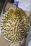 京鲜生 泰国金枕头榴莲 净重5-6斤 1个装 生鲜 新鲜水果 源头直发 包邮 实拍图