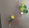 花点馨意水培容器小花瓶实木插花器创意试管磁吸冰箱贴装饰 混色2个装8944 实拍图