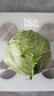 高原夏菜新鲜包菜卷心菜绿甘南菜甘蓝圆白菜时令蔬菜健康营养早餐 1.5斤-2斤高端标准菜 实拍图