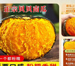 京鲜匠山东贝贝南瓜正宗 栗香小南瓜 香甜粉糯老瓜 蔬菜源头产地直发 精选装 净 4.5斤 （4-9个） 实拍图