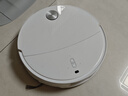 石头（roborock）扫地机器人扫拖一体 P20 Ultra 扫拖洗烘一体机热水洗拖布擦地拖地洗地机P20极光增强【升级版】 实拍图