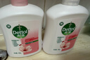 滴露（Dettol）洗手液滋润500g*6 抑菌洗手液家庭装大桶儿童消毒无酒精温和护手 实拍图