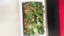 辰实【顺丰/JD快递】鱼腥草新鲜 折耳根叶子 侧耳根节节根蔬菜现挖发 2斤四川鱼腥草嫩叶 实拍图