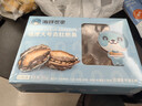 海鲜世家去肚特大鲍鱼12粒装360g盒装 免处理 火锅烧烤食材海鲜礼盒送礼 实拍图