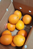 土八鲜江西橙子赣南脐橙新鲜水果赣州脐橙手剥甜橙礼盒 奋进橙9-10斤【单果200g+】 实拍图