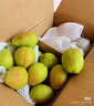 京鲜生 新疆库尔勒香梨 净重10斤 特级 单果120g以上 生鲜水果 实拍图