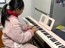 特伦斯电子琴88键成人儿童智能折叠钢琴X61A/V20手卷钢琴键盘乐器 V20樱花粉+专用琴包+Z型琴架 实拍图