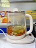 小熊（Bear）养生壶 煮茶壶 恒温水壶 保温烧水一体电热水壶花茶壶 316L不锈钢 1.5L大容量 YSH-J15H8 实拍图