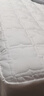博洋家纺全棉夹棉床笠抑菌可水洗席梦思保护床褥子防尘床罩150*200cm 实拍图