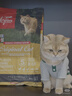 Orijen渴望猫粮 成猫幼猫粮 全价通用无谷原味鸡肉进口1.8kg效期26/12 实拍图